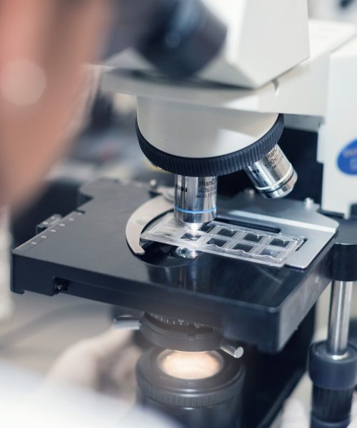 INVESTIGACION_INT (1)